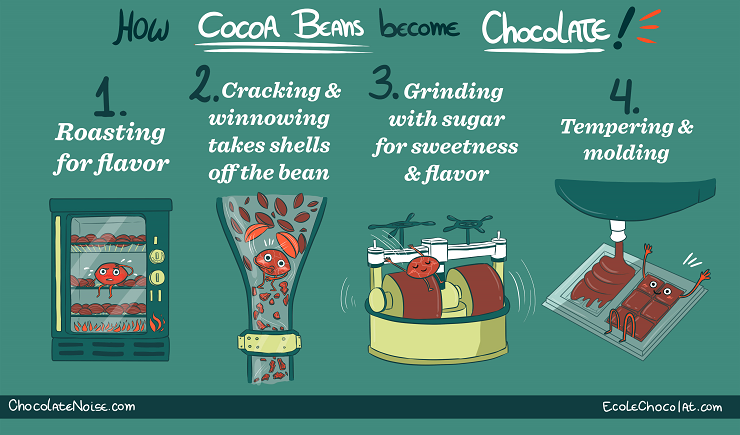 how-cocoa-beans-become-chocolate_740